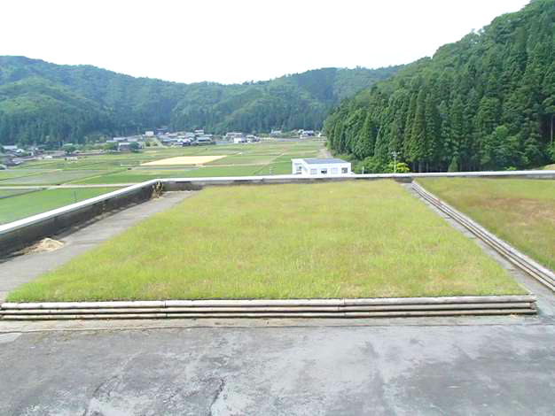 4 后期维护管理效果实例（铺设完成3年后）_看图王.png